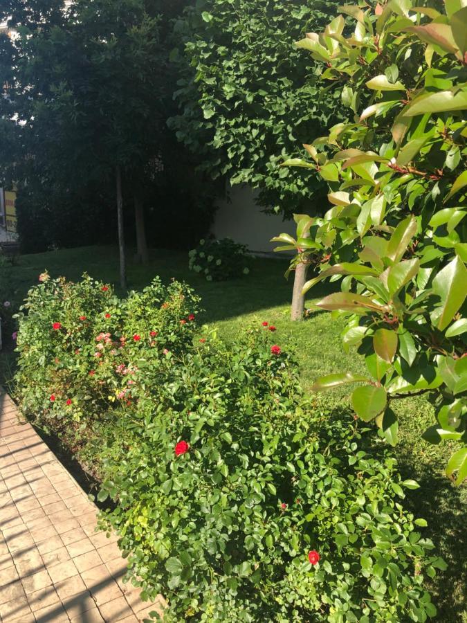 Вила Калабрия Sveti Vlas Exteriör bild